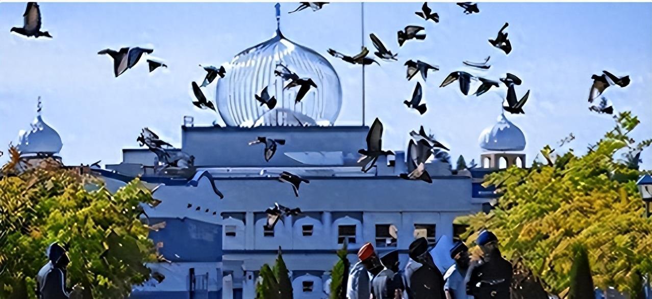 土耳其出兵叙利亚背后的复杂因素与影响，深度解析与探讨，土耳其出兵叙利亚背后的复杂因素深度解析与探讨，影响及探讨