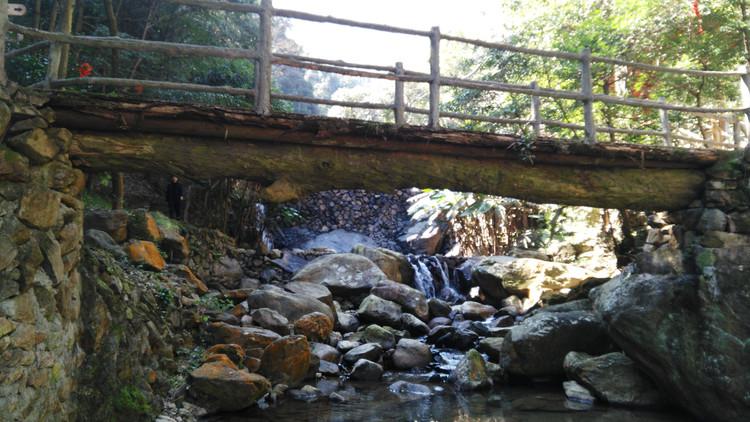 延平区峡阳镇今日特大新闻,延平区峡阳镇今日重大新闻更新