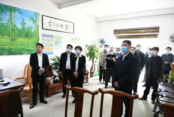 延平区峡阳镇今日特大新闻,延平区峡阳镇今日重大新闻更新