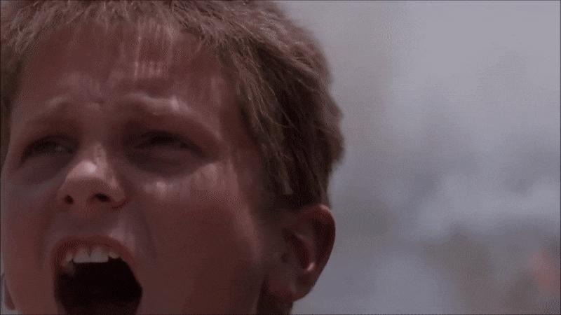 美国A-10疣猪攻击机的威力与传奇,美国A-10疣猪攻击机的威力与传奇,战斗机的传奇表现与实战威力