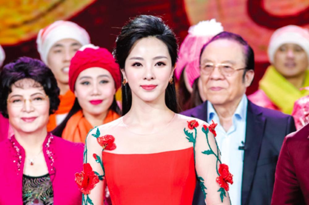 央视90后美女主持人,青春活力与专业素养的完美结合,央视青春美女主持人,活力与专业并存