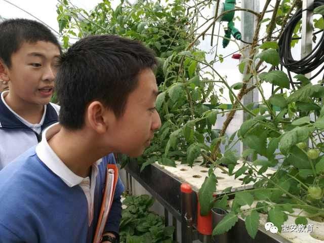 儿童手工军事模型制作方法,儿童手工军事模型制作指南