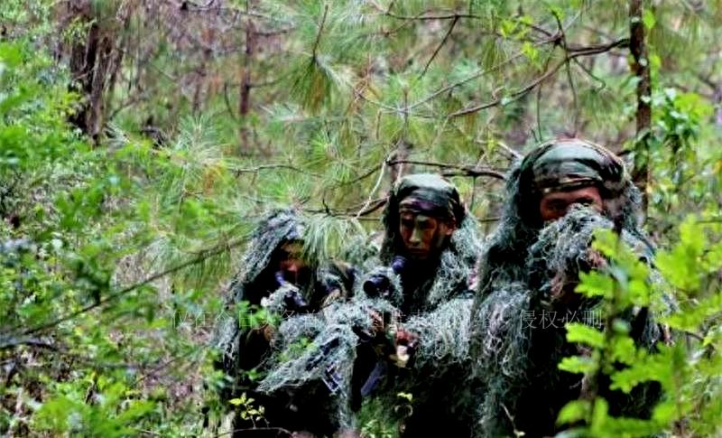 陆军70集团军，新时代的钢铁长城，陆军70集团军，新时代的钢铁长城守护者