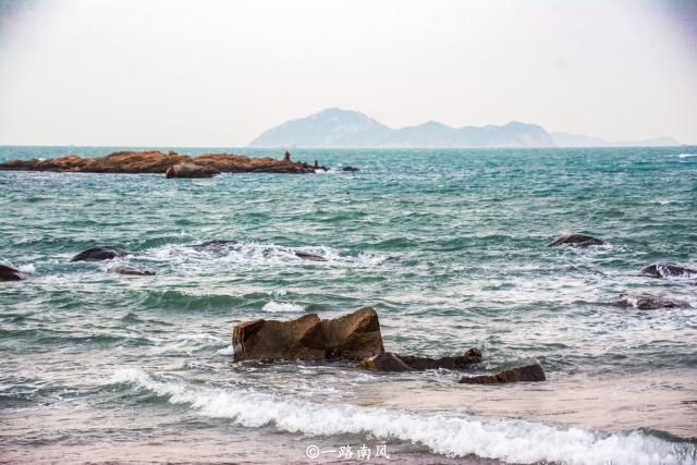 澳门四不像图之第11期深度解析，澳门四不像图第11期深度剖析报告