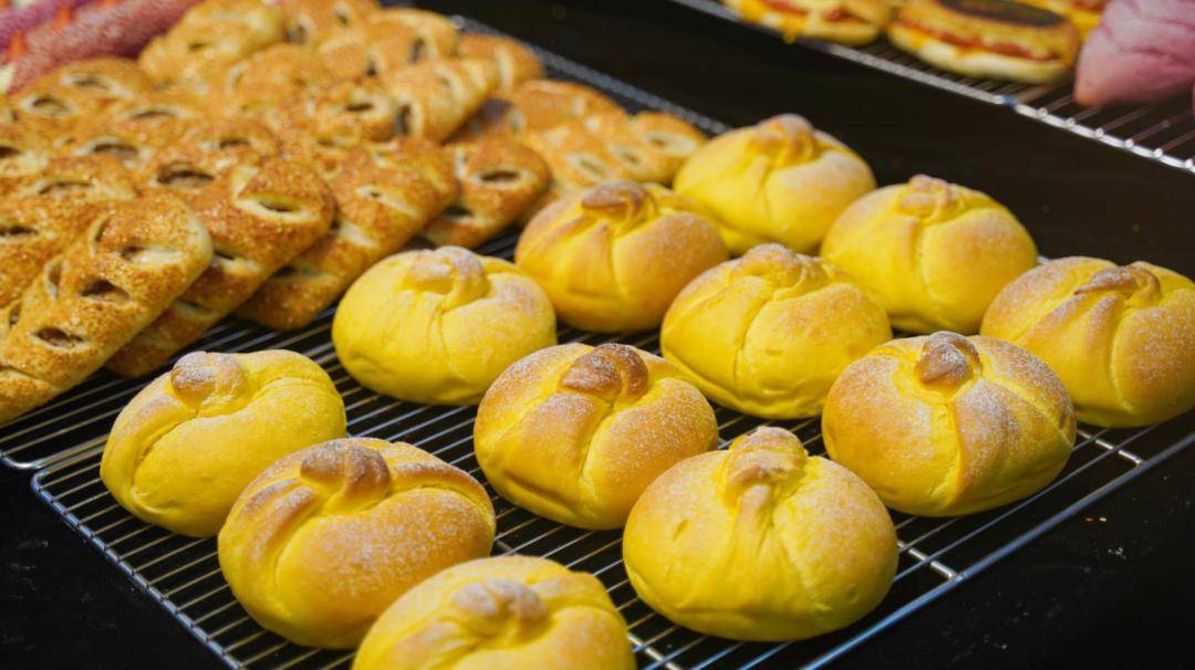 新手烘焙入门，面包制作的艺术之旅，新手烘焙入门，开启面包制作的艺术之旅