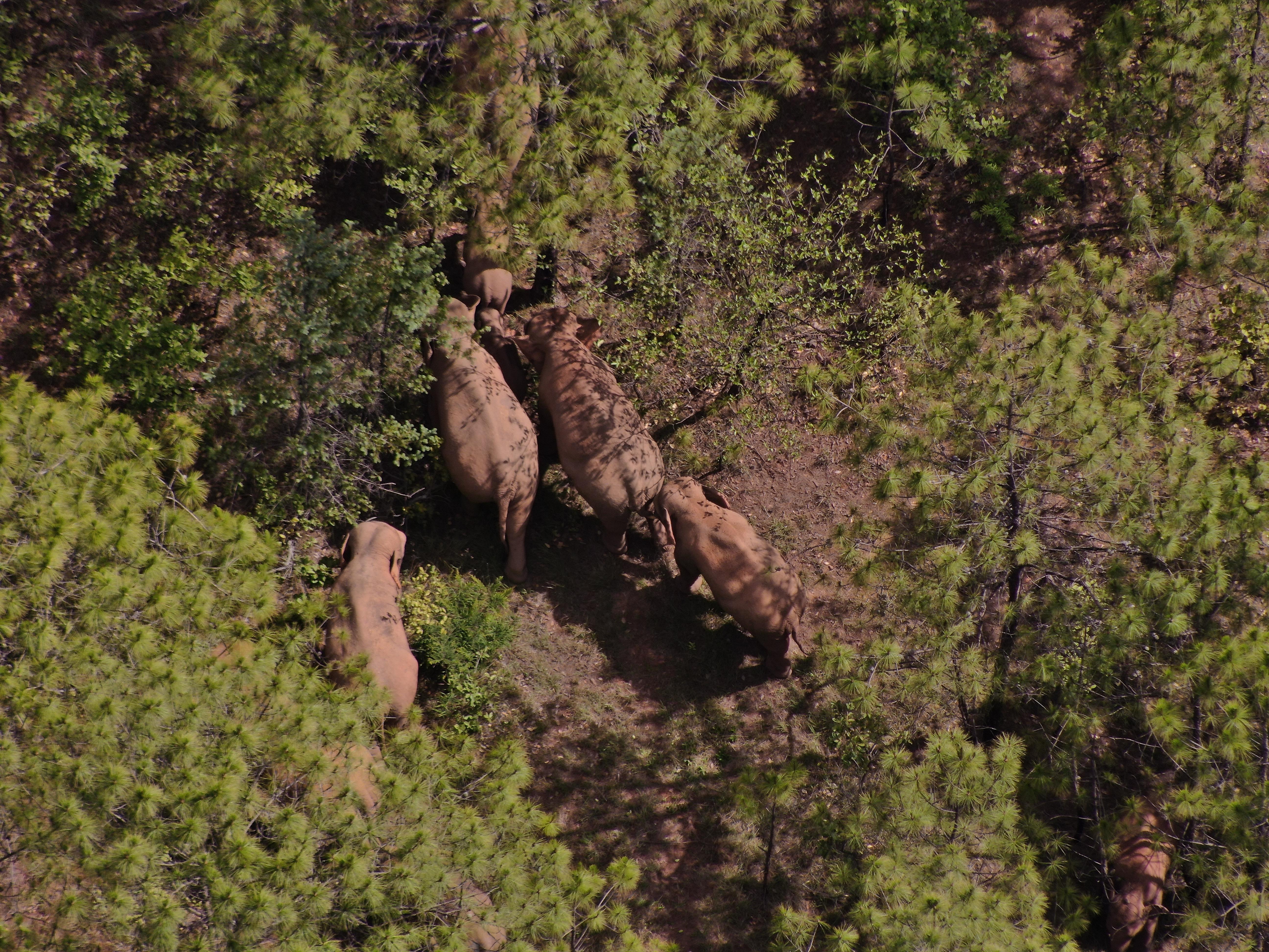 青春期,探索自我与世界的交织之路,青春期,探索自我与世界的交融之旅