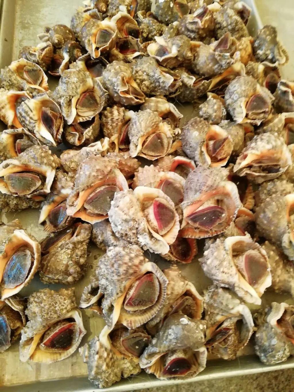 山东日照必去的地方——探寻美丽的海滨城市,山东日照必游之地,探寻迷人的海滨城市之旅