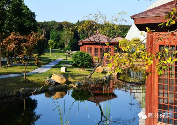 上海近郊农家乐,体验乡村生活的美好时光,上海近郊农家乐,体验乡村生活的魅力时光