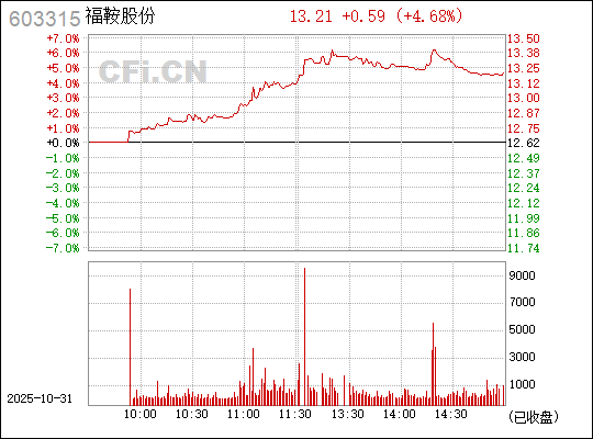 福鞍股份，探索603315背后的力量，福鞍股份，揭秘股票代码背后的力量 603315探索之旅