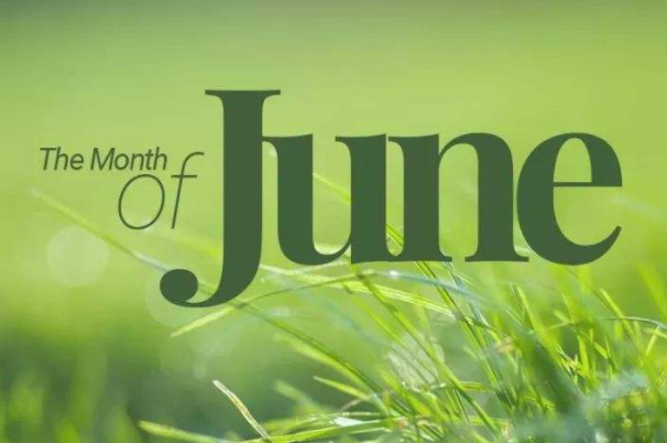揭秘jun背后的月份魅力,揭秘月份魅力背后的神秘面纱