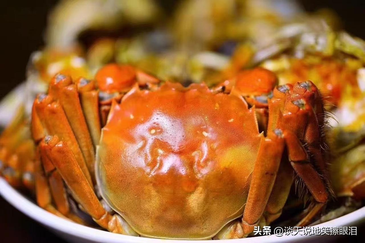螃蟹的美味做法,简单又方便,简单又方便的螃蟹美味做法指南