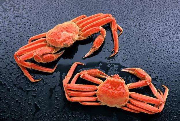 吃完螃蟹千万别碰五种食物——海鲜美食后的健康须知,海鲜美食后的禁忌,吃完螃蟹五种食物不能碰——健康须知