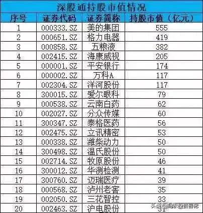 沪股通股票名单一览表,深度解读与全面分析,沪股通股票名单一览表,深度解读与全面剖析