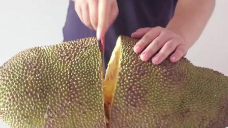 菠萝菠萝蜜,免费观看视频的新天地,菠萝菠萝蜜,免费视频观看的全新平台