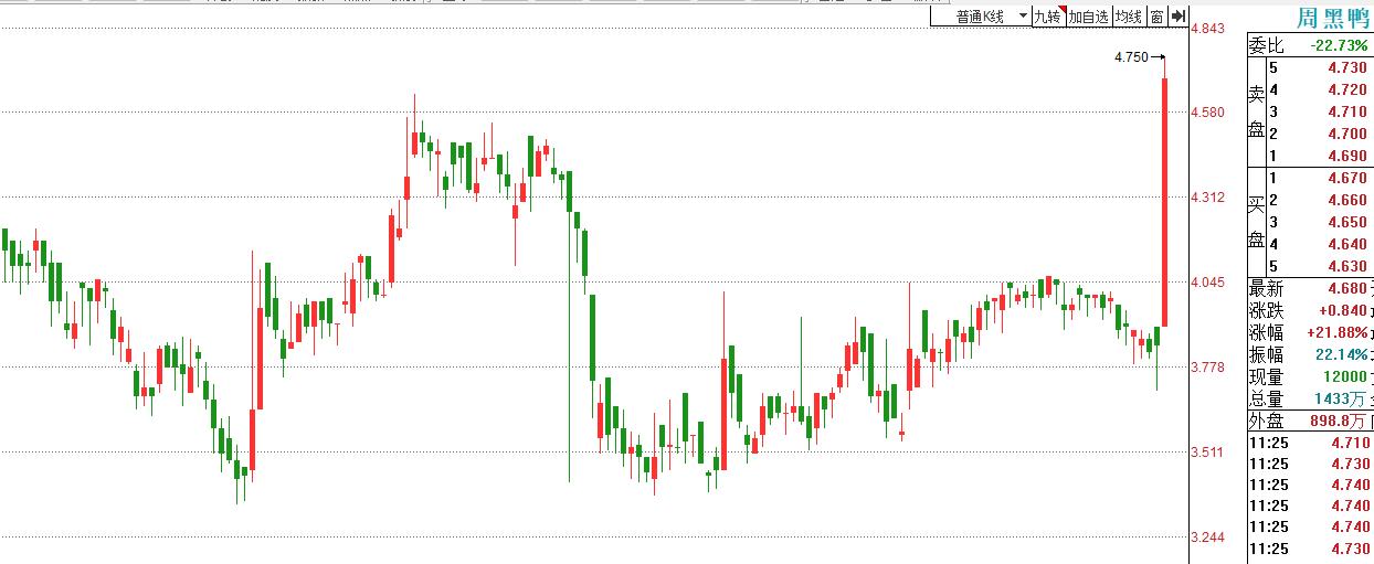 周黑鸭加盟费及加盟条件详解,周黑鸭加盟费用及条件详解