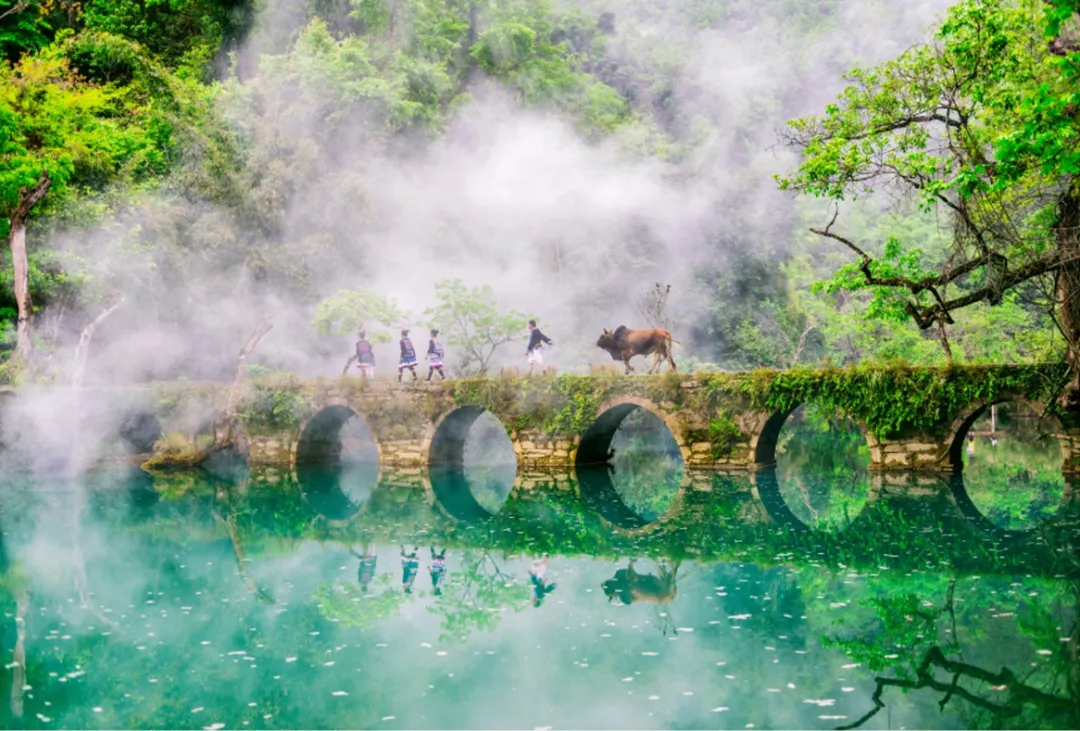 荔波小七孔,贵州秘境中的自然奇观,荔波小七孔,贵州秘境的自然奇观惊艳世界