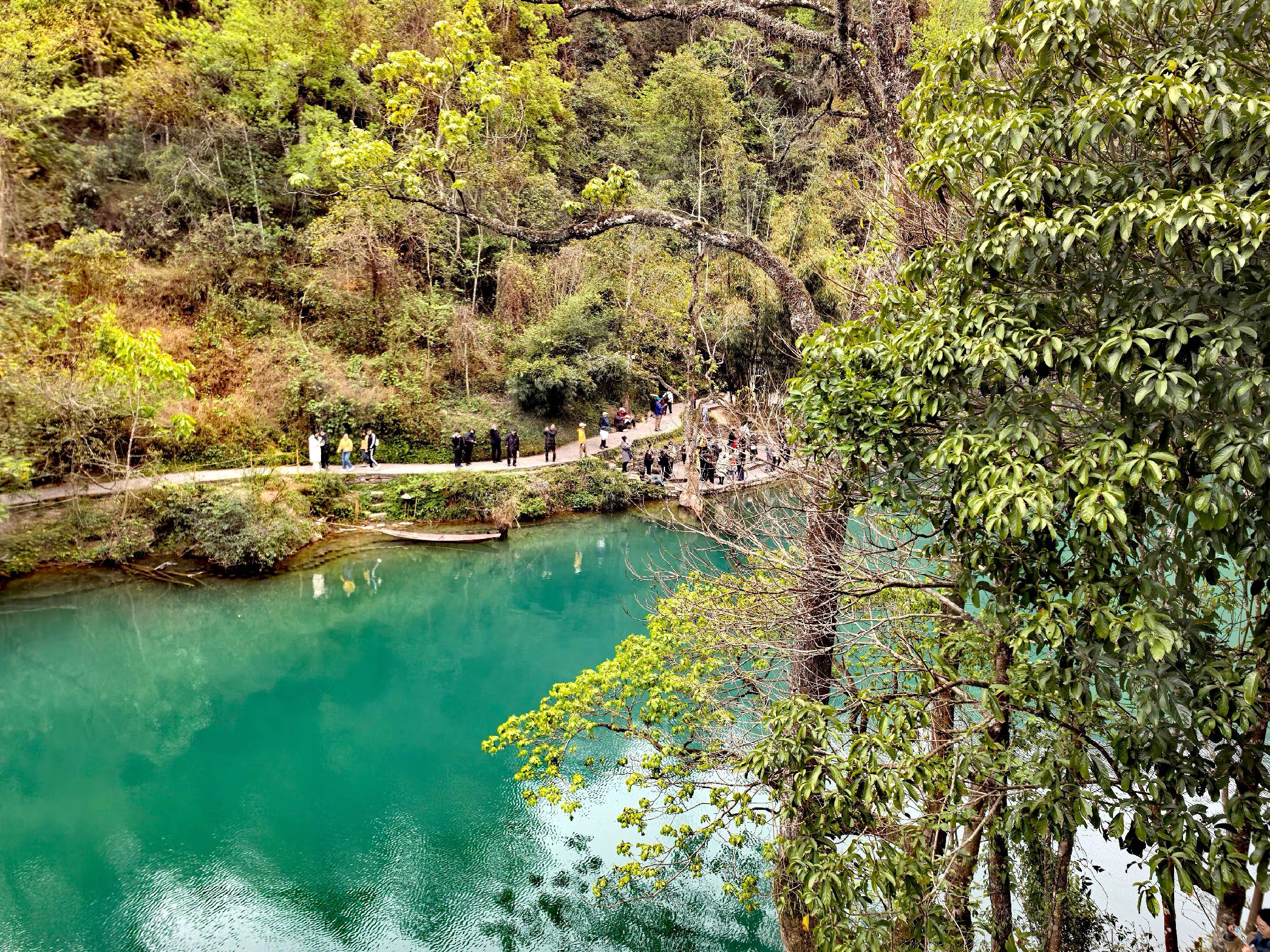 荔波小七孔,贵州秘境中的自然奇观,荔波小七孔,贵州秘境的自然奇观惊艳世界