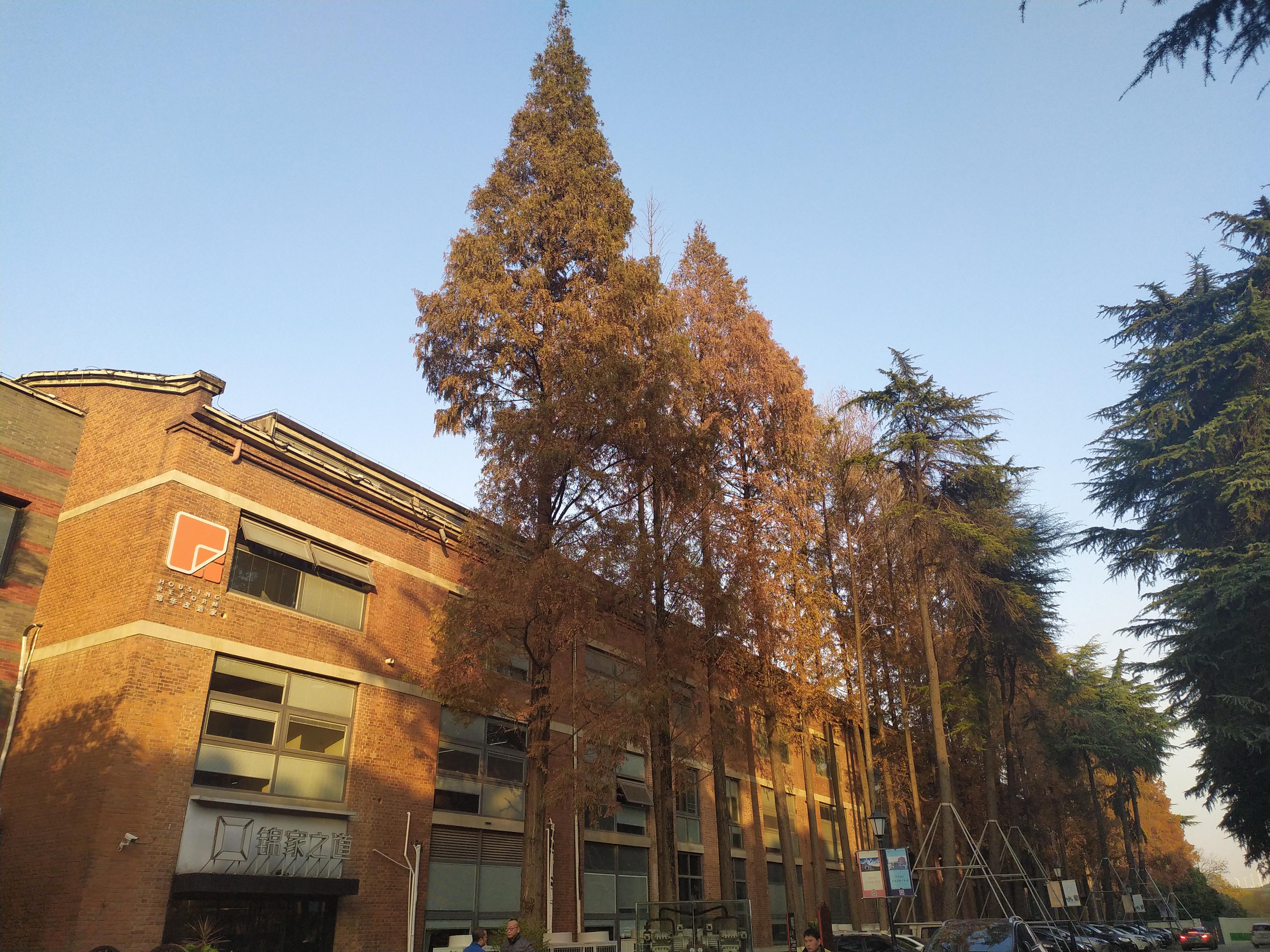 南京中山陵景点介绍,南京中山陵景点探秘,历史与文化的瑰宝