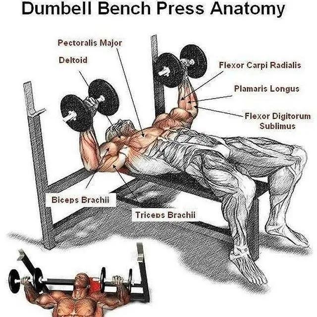 塑造完美身材,练胸肌的好处,塑造完美身材的关键,练胸肌的益处与好处