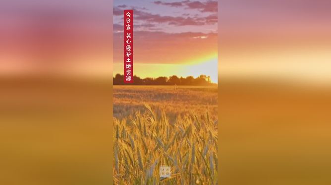 大地资源高清播放,在线观看的新视界,大地资源高清播放,新视界在线观看体验