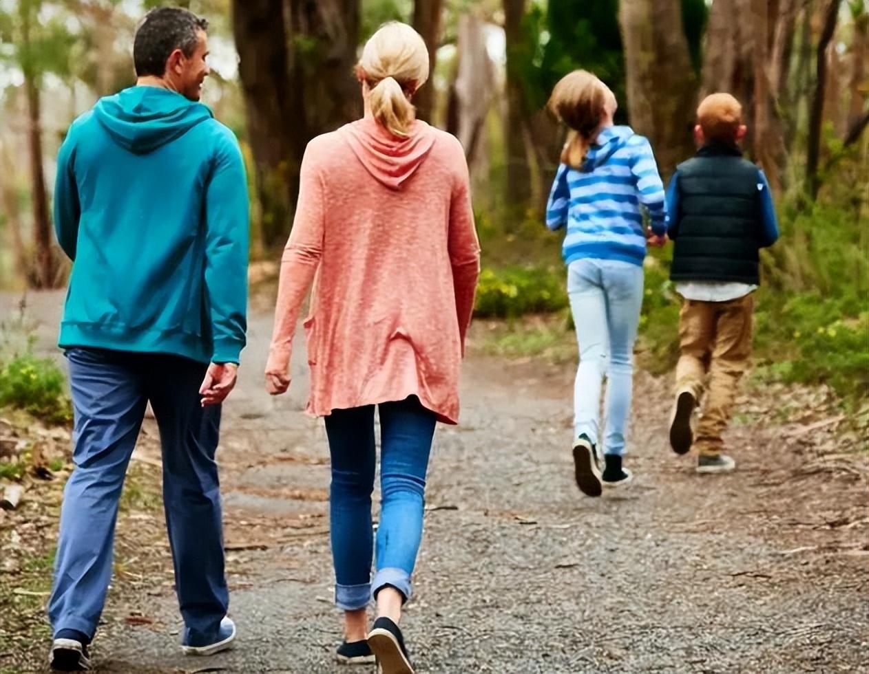 最不伤膝盖的健身器材，探索保护关节的健康运动方式，探索不伤膝盖的健身器材，健康运动方式助力关节保护