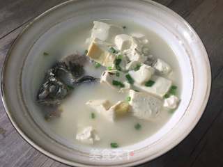 鲫鱼豆腐汤,一道家常美味汤品的制作方法,鲫鱼豆腐汤,家常美味汤品的制作方法详解