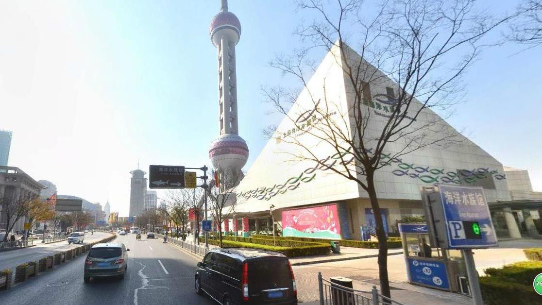 畅游上海水族馆，官网购票攻略，上海水族馆官网购票攻略，畅游海底世界