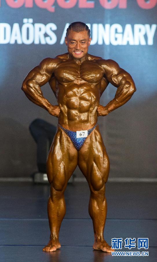 健美图片男冠军，力量与艺术的完美结合，健美图片男冠军，力量与艺术的极致融合