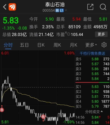 泰山石油股吧,探索000554的神秘面纱,泰山石油股吧揭秘,探索股票代码000554的神秘面纱