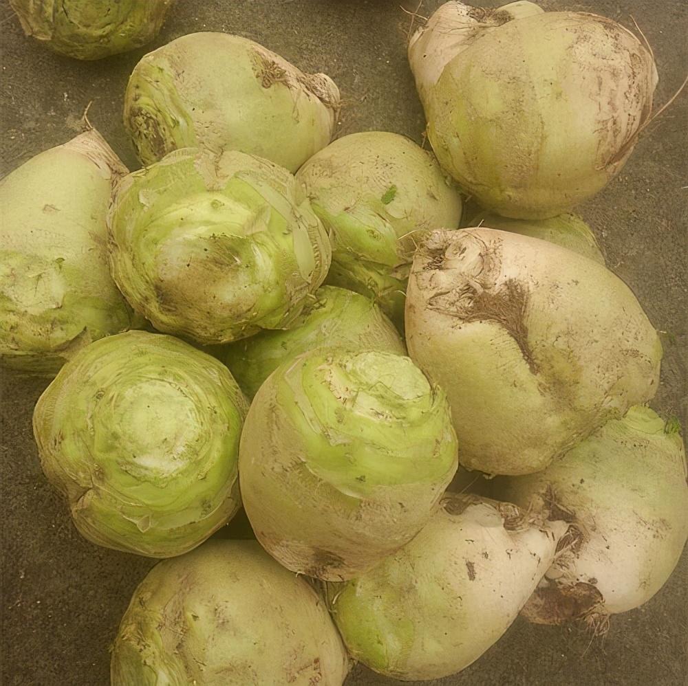 芥菜图片,品味自然之美,领略芥菜风采,芥菜风采,自然之美的品味与领略图片展示