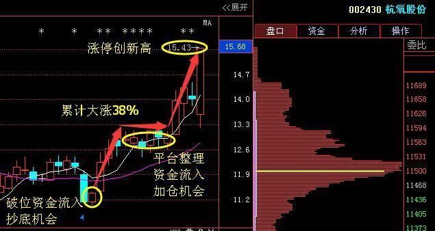 深度解析,002430股票行情及市场走势,深度解析,股票行情与走势分析——聚焦代码为002430的股票市场动向