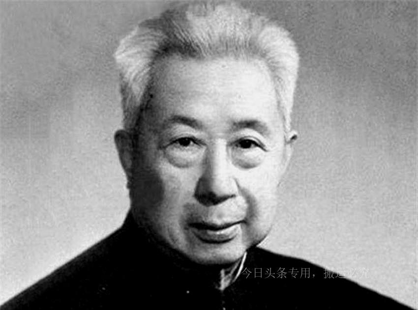 探索附近单身女性的多彩世界，探索附近单身女性的多彩世界之旅