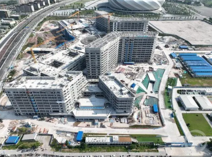 新澳门一肖中100期期准，探索与揭秘，探索与揭秘，新澳门一肖中100期期准的秘密