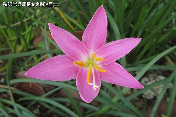 免费八字测婚姻段数——探寻您的婚姻运势，免费八字测婚姻段数，揭秘你的婚姻运势走向