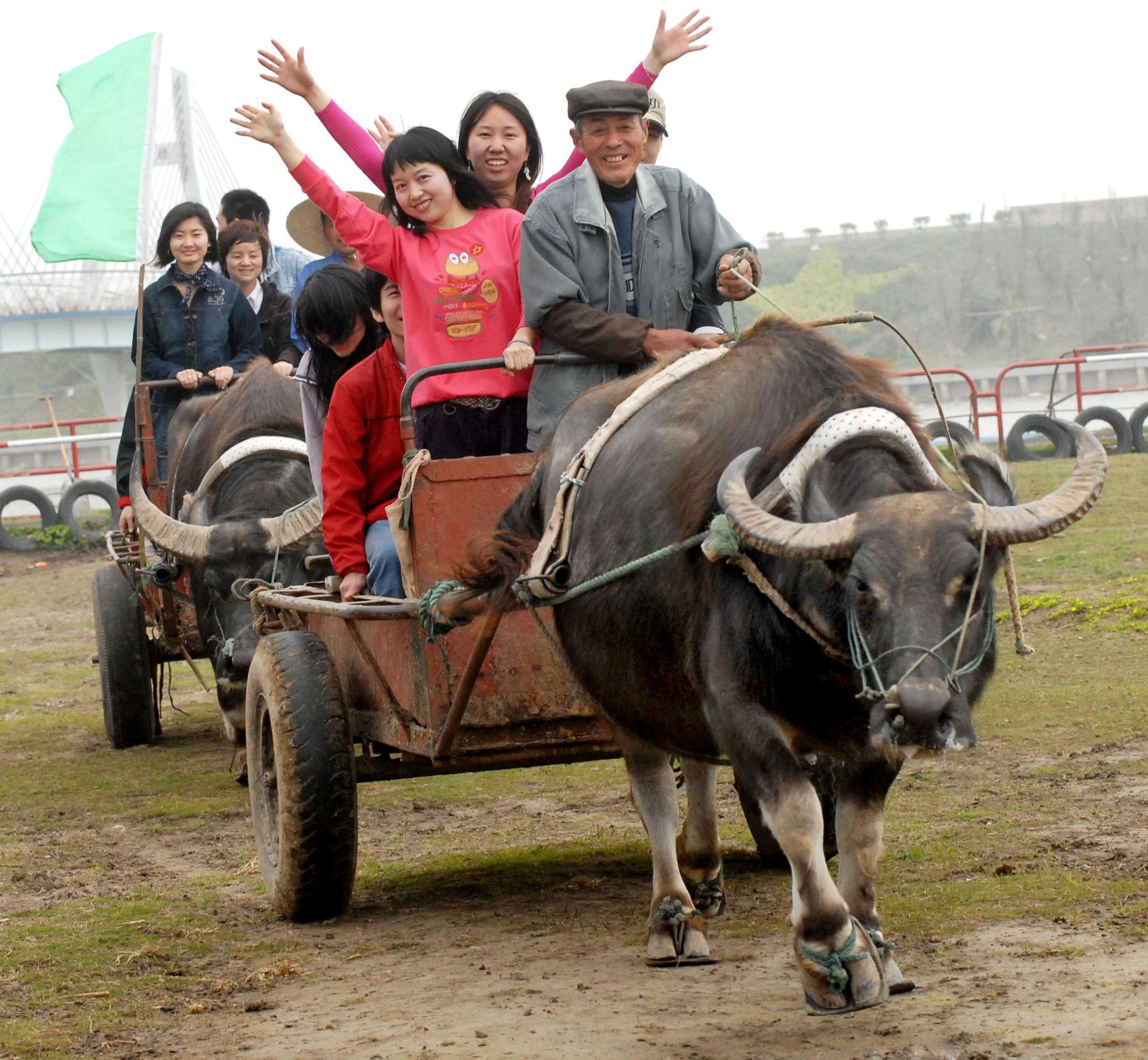 上海周边农家乐三日游推荐表，上海周边农家乐三日游攻略，精选推荐表