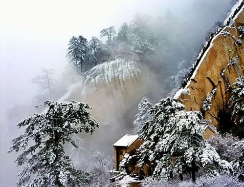 冬天爬华山,探寻适宜与挑战的完美结合,冬季华山行,探寻适宜与挑战的完美交融