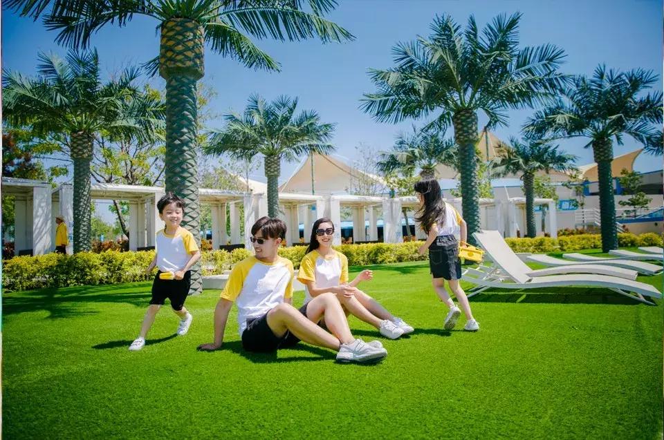 乐岛海洋公园门票价格详解，乐岛海洋公园门票价格全解析