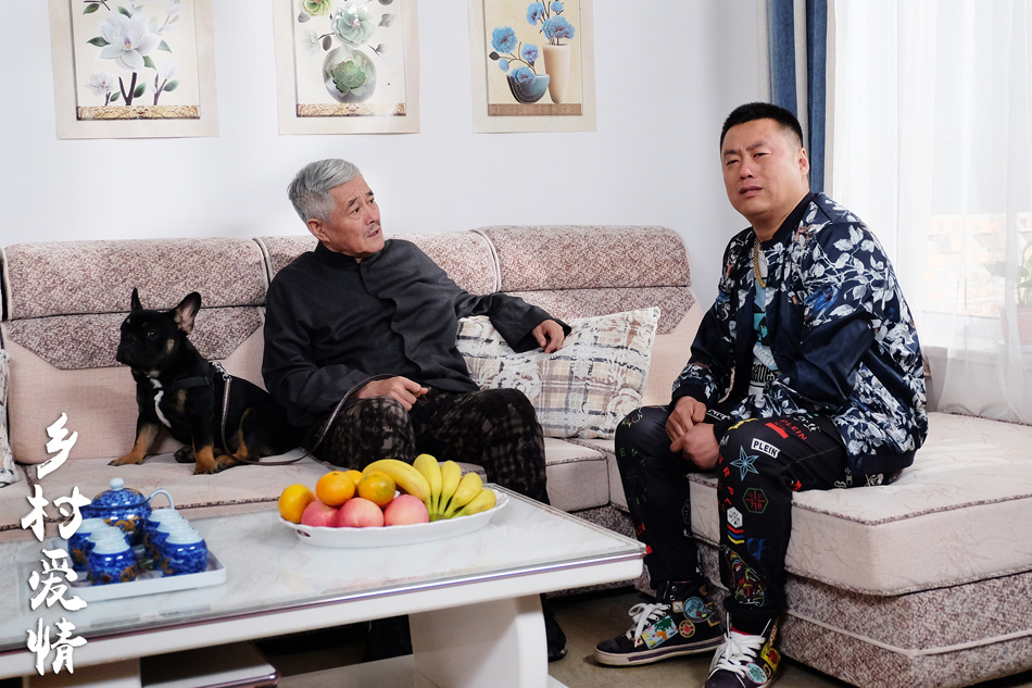 乡村爱情9，情感交织的田园诗篇，乡村爱情9，情感交织的田园生活之歌