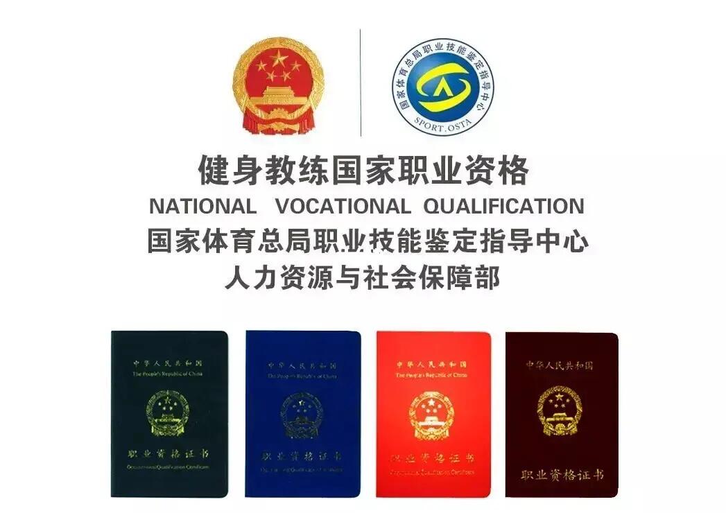 全国健身教练资格证书,塑造专业健身行业的关键力量,全国健身教练资格证书,塑造专业健身行业的核心驱动力