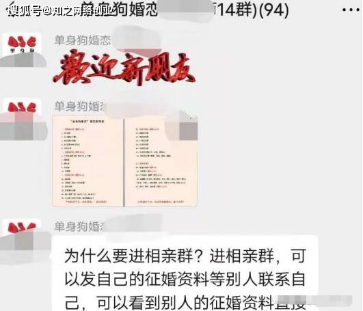 寻找宁波本地相亲群，搭建情感交流的桥梁，宁波相亲群，搭建情感交流的桥梁