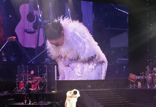 探索澳门正版精准资料的深度价值,澳门正版精准资料的深度探索与价值揭秘