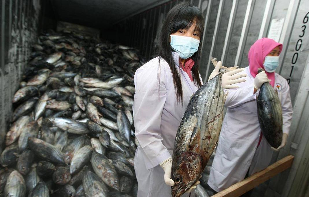 探索澳门正版精准资料的深度价值,澳门正版精准资料的深度探索与价值揭秘