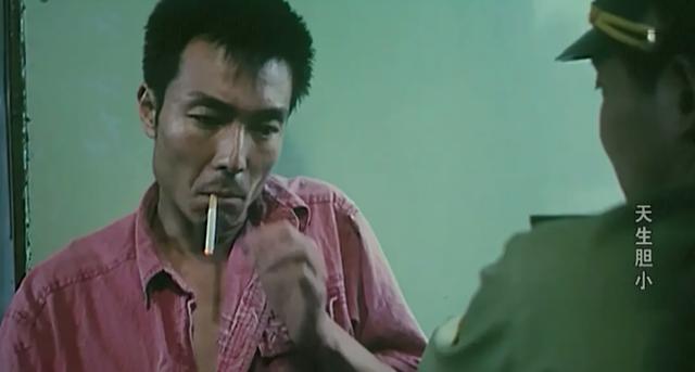 谢园最后一部电视剧,永恒的荧屏印记,谢园最后一部电视剧,永恒的荧屏记忆