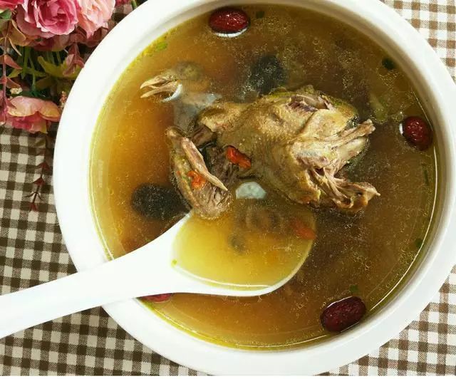 鸽子汤，炖制美味与营养的双重盛宴，鸽子汤，美味与营养的双重盛宴炖制指南