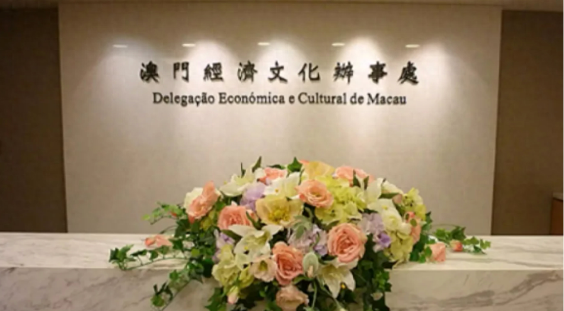 澳门一码一肖一特一中今晚的魅力与探索,澳门今晚一码一肖一特一中之魅力与探索