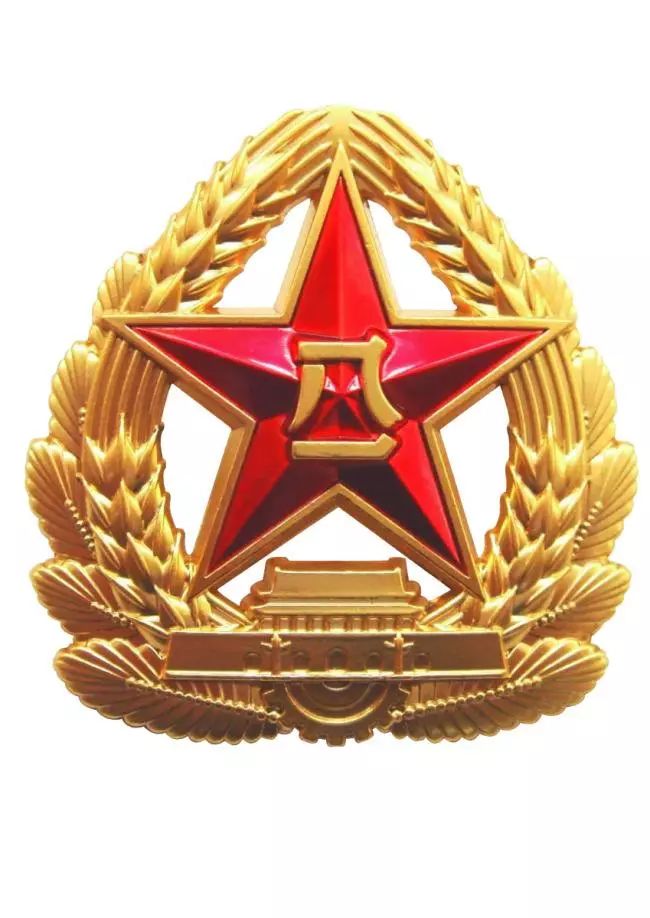 军徽图片，象征荣耀与担当的徽章艺术，军徽图片，荣耀与担当的徽章艺术象征