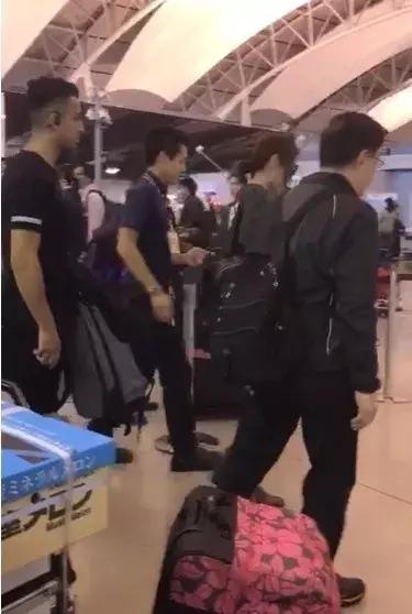 郑嘉颖个人资料简介图片,郑嘉颖个人资料简介及图片