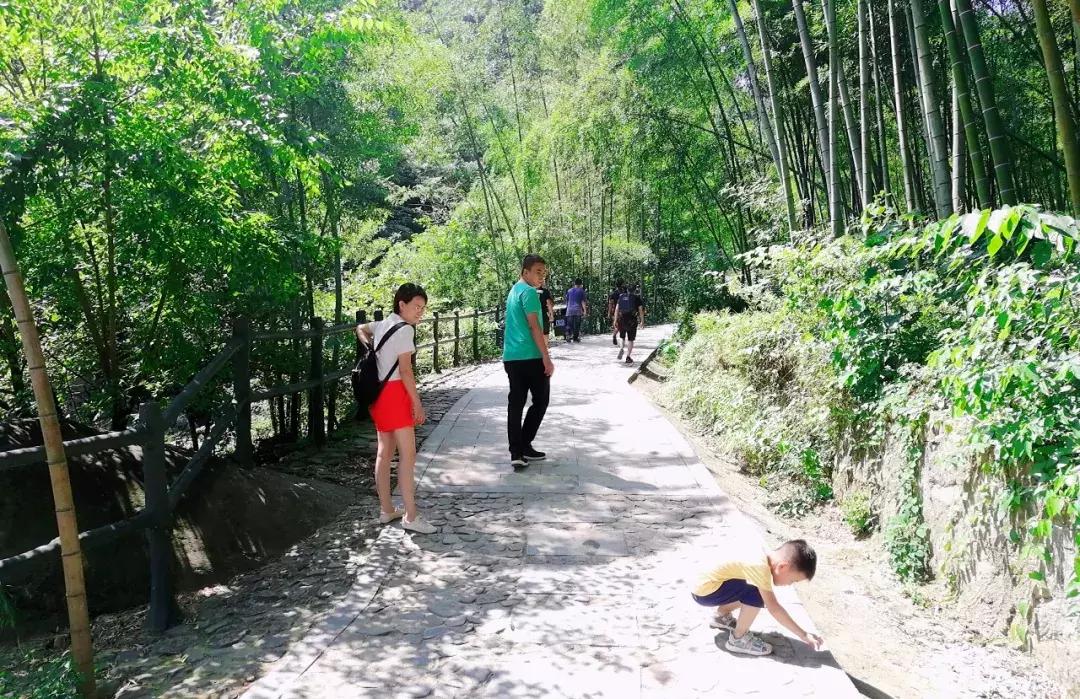 暑假亲子旅游景点推荐——打造美好家庭回忆的理想之地,暑假亲子游必去景点推荐,打造美好家庭回忆的理想目的地