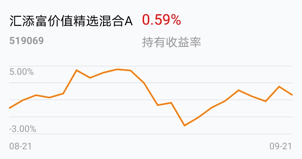 汇添富价值精选混合A(519069),深度解析一只优秀基金的投资魅力,汇添富价值精选混合A(519069),投资魅力的深度解析