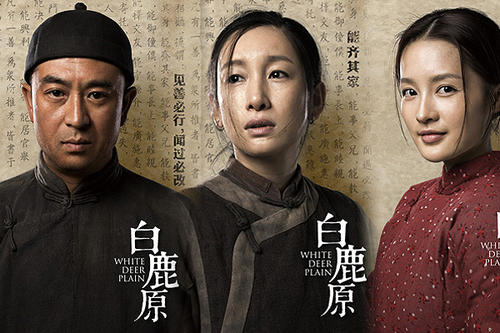 电视剧白鹿原演员表深度解析，电视剧白鹿原演员表深度解析与角色探究